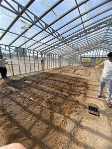 Meslek Yüksekokulumuza Ait Serada Bölüm Öğrencilerimizle Uygulamalı Eğitim