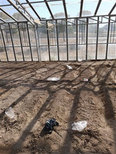 Meslek Yüksekokulumuza Ait Serada Bölüm Öğrencilerimizle Uygulamalı Eğitim