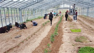 Uygulama Çalışmaları