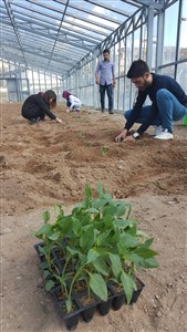 Uygulama Çalışmaları