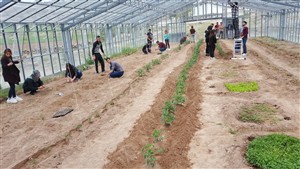 Uygulama Çalışmaları