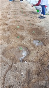 Uygulama Çalışmaları